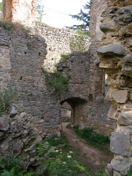 P1010347.JPG