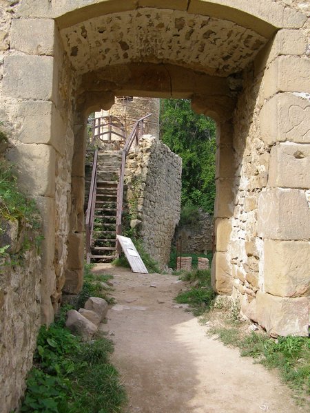 P1010354.JPG