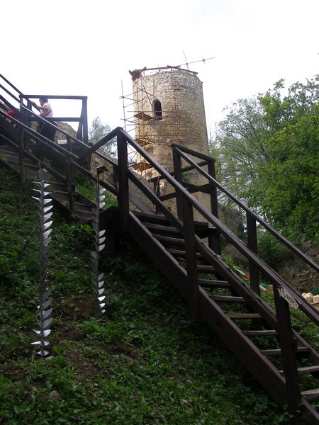 P1010412.JPG