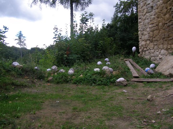 P1010444.JPG