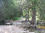 IMG_1530.JPG
