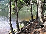 IMG_1531.JPG
