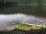 IMG_1533.JPG