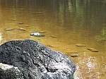 IMG_1535.JPG
