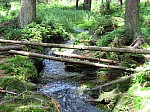 IMG_1540.JPG