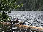 IMG_1544.JPG