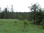 IMG_1558.JPG