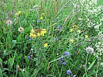 IMG_1565.JPG