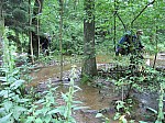 IMG_1582.JPG