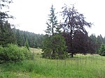 IMG_1675.JPG