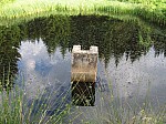 IMG_1677.JPG