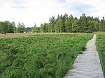 IMG_1678.JPG