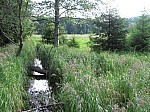 IMG_1682.JPG