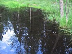 IMG_1693.JPG